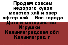 Продам совсем недорого кукол монстер хай и эвер афтер хай  - Все города Дети и материнство » Игрушки   . Калининградская обл.,Калининград г.